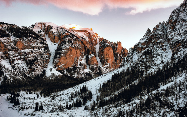 Обои картинки фото природа, горы, снег, деревья
