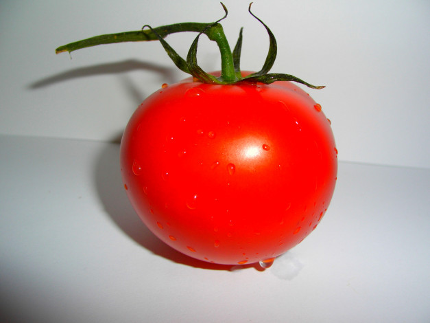 Обои картинки фото помидорка, еда
