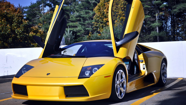 Обои картинки фото lamborghini, murcielago, автомобили, automobili, s, p, a, спортивные, италия