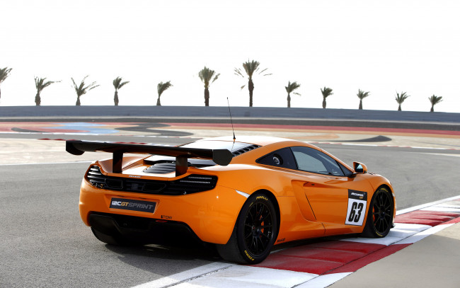 Обои картинки фото автомобили, mclaren, sprint, gt, 12c