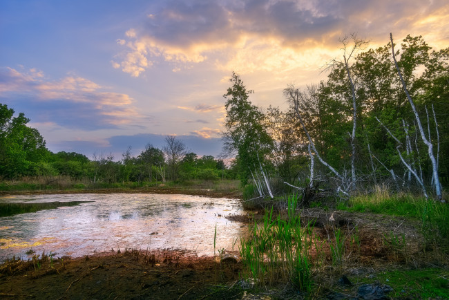 Обои картинки фото природа, реки, озера, река, лес