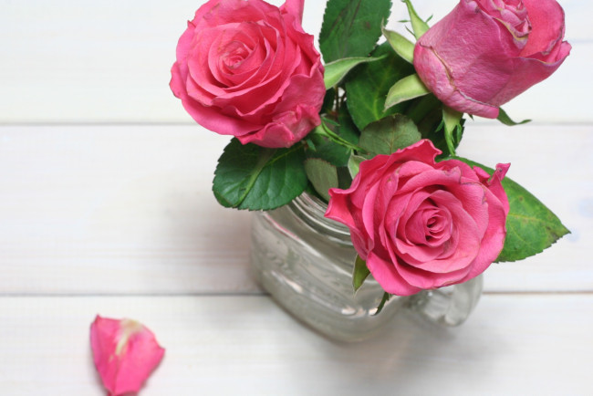 Обои картинки фото цветы, розы, лепесток, розовый, ваза, бутоны