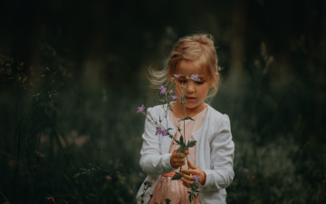 Картинка разное дети девочка цветы поле