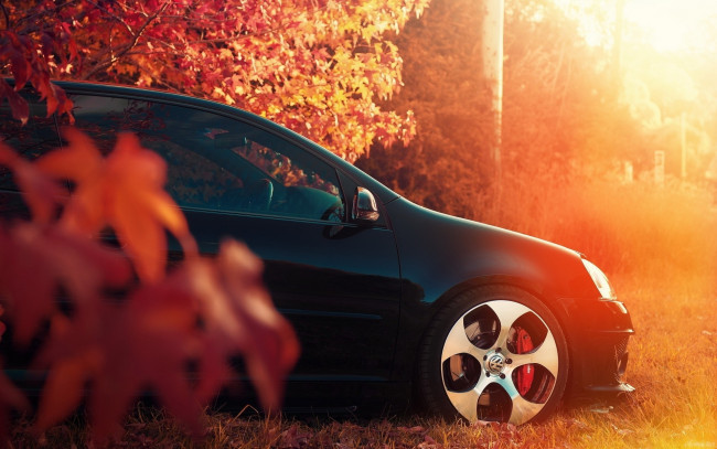 Обои картинки фото автомобили, фрагменты автомобиля, черный, осень, деревья