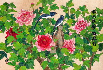 Картинка пу лан кокмен рисованные живопись птицы пионы