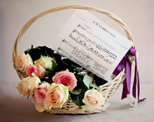 Обои картинки фото цветы, розы, ноты, корзинка, бутоны, elena, di, guardo