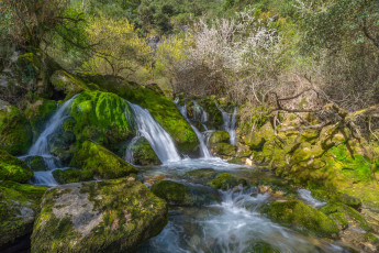 Картинка природа водопады лес водопад река