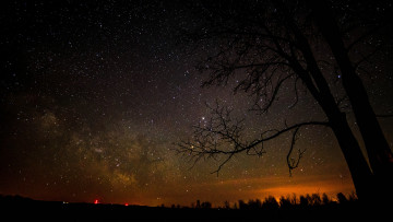 Картинка природа деревья силуэты млечный путь ночь пространство космос звезды