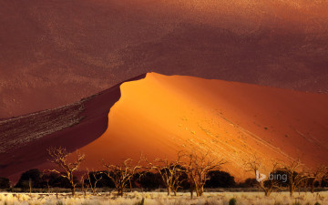 Картинка природа пустыни деревья пустыня дюны песок африка намибия sossusvlei