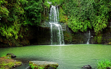 Картинка природа водопады кусты водопад камни скала зелень