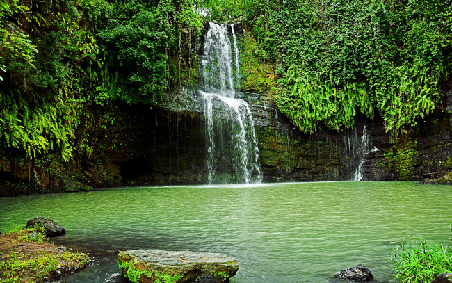 Обои картинки фото природа, водопады, кусты, водопад, камни, скала, зелень
