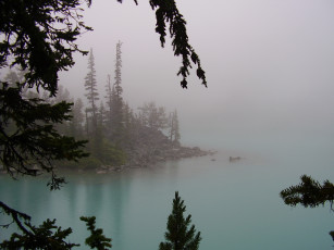 Картинка природа реки озера деревья озеро туман