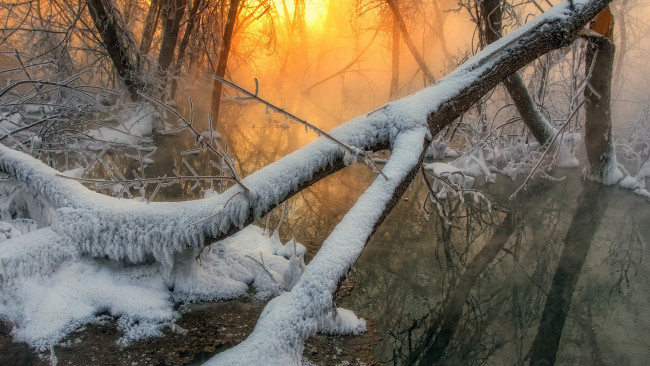 Обои картинки фото природа, восходы, закаты, снег, зима