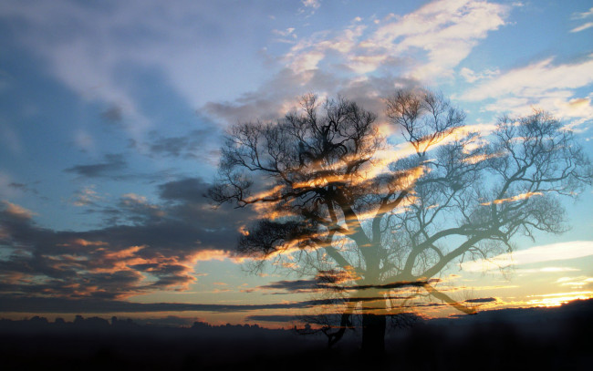 Обои картинки фото призрак, умершего, дерева, природа, облака