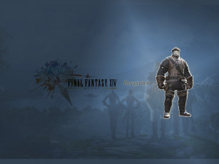 Картинка видео игры final fantasy xiv