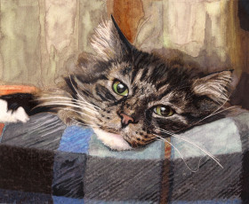 Картинка рисованные животные кот усы