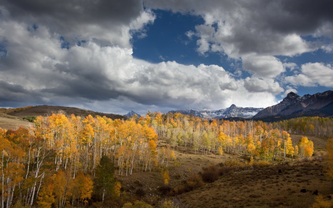 Обои картинки фото природа, пейзажи, горы, деревья, осень, облака