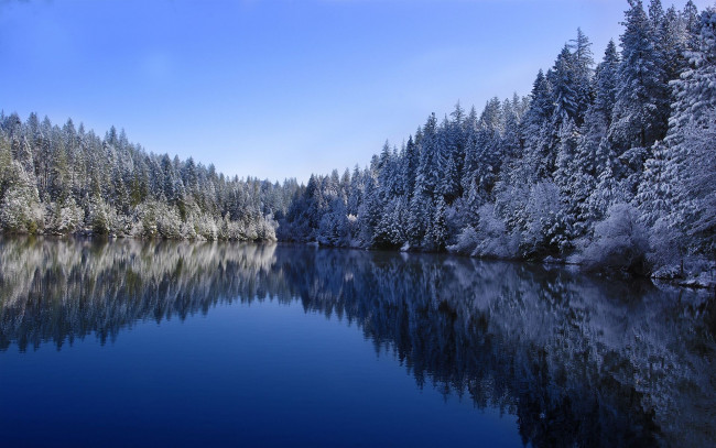 Обои картинки фото природа, реки, озера, лес, деревья, ели, зима, пейзаж, озеро