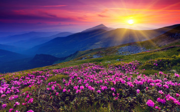 Картинка simply beautiful природа восходы закаты горы солнечный свет луг цветы