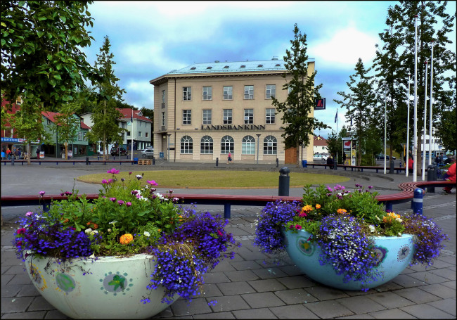 Обои картинки фото исландия, акюрейри, города, улицы, площади, набережные, дом, цветы, площадь