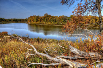 Картинка природа реки озера осень трава