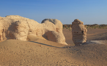 Картинка природа пустыни кусты песок