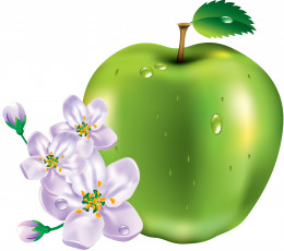 Картинка векторная+графика еда яблоко цветы