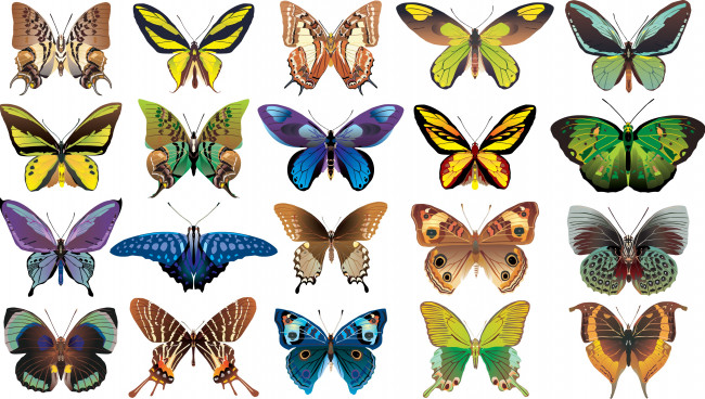Обои картинки фото векторная графика, животные, фон, бабочки
