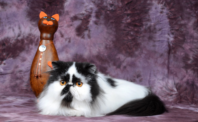 Обои картинки фото животные, коты, пушистая, кошка, статуэтка, фон
