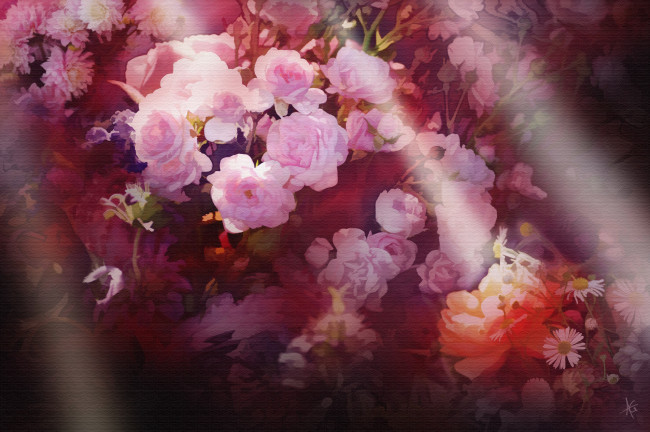 Обои картинки фото рисованные, цветы, роза, blossoms, rose, bud, petals, leaves, цветение, листья, лепестки, бутон