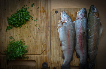 Картинка еда рыба +морепродукты +суши +роллы семга