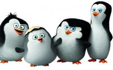 обоя мультфильмы, the penguins of madagascar, пингвины, мадагаскара, penguins, of, madagascar, classified, мультфильм