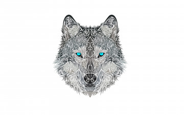 Картинка рисованное минимализм wolf голова морда волк стиль