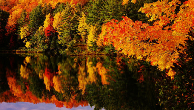 Обои картинки фото природа, реки, озера, отражение, осень, лес, озеро
