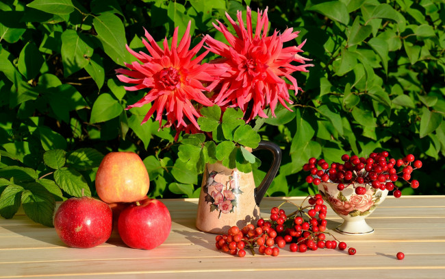 Обои картинки фото еда, фрукты,  ягоды, яблоко, красный, натюрморт, георгины, калина
