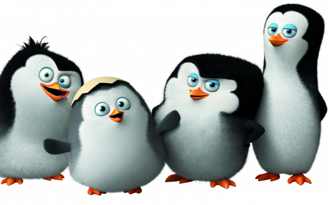 Обои картинки фото мультфильмы, the penguins of madagascar, пингвины, мадагаскара, penguins, of, madagascar, classified, мультфильм