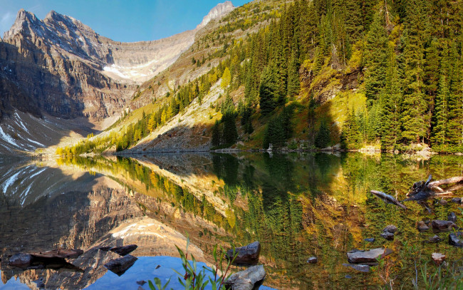 Обои картинки фото природа, реки, озера, канада, банф, озеро, лес, горы, деревья, берег, камни, коряги, вода, отражение