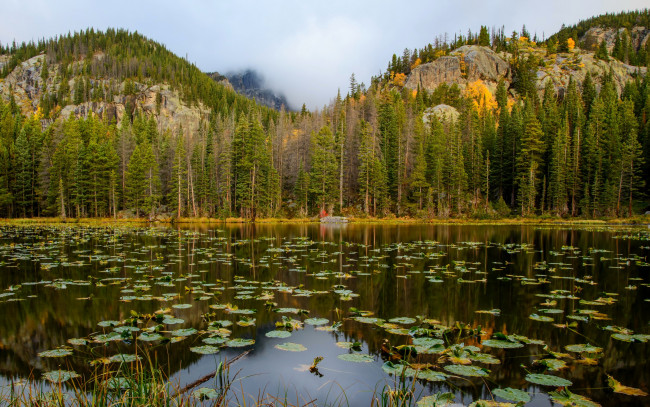 Обои картинки фото природа, реки, озера, сша, nymph, lake, rocky, mountain, national, park, лес, озеро, горы, скалы