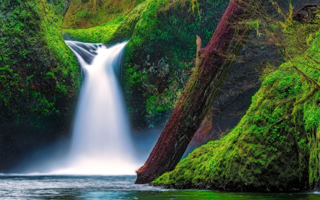 Обои картинки фото природа, водопады, punch, bowl, falls, eagle, creek, columbia, river, gorge, oregon, водопад, панчбоул, ущелье, реки, колумбия, орегон, река, мох, бревно