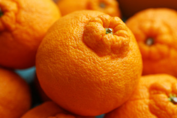 Картинка еда цитрусы оранжевые куча мандарины