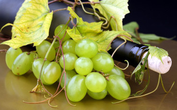 Картинка еда виноград листья пробка бутылка ягоды