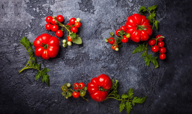 Обои картинки фото еда, помидоры, красный, ботва, томаты