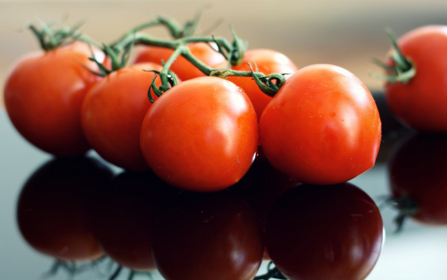 Обои картинки фото еда, помидоры, отражение, томаты, ветка
