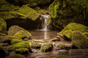 Картинка природа водопады поток мох камни вода