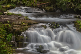 Картинка природа водопады поток водопад вода деревья