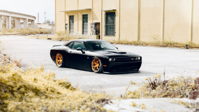 Обои картинки фото автомобили, dodge, challenger, srt8