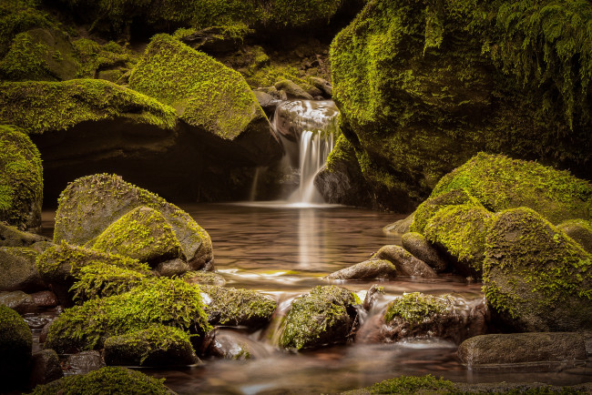 Обои картинки фото природа, водопады, поток, мох, камни, вода