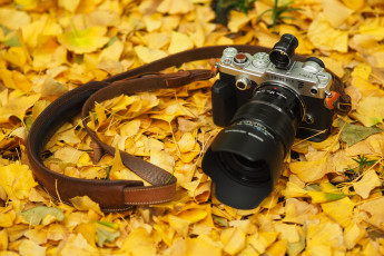 обоя бренды, olympus, осень, листья, фотоаппарат, камера, олимпус