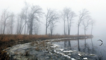 обоя природа, другое, весна, туман