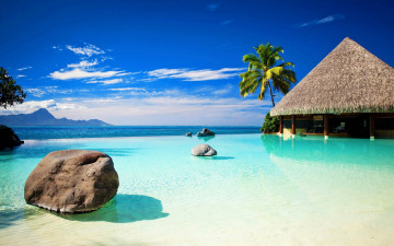 Картинка природа тропики небо пальма камни берег шале море